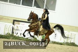 24BUCK_09143 thumbnail