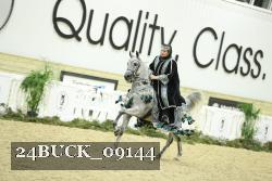 24BUCK_09144 thumbnail
