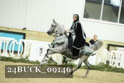 24BUCK_09146 thumbnail