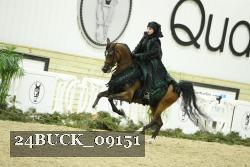 24BUCK_09151 thumbnail