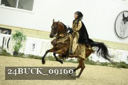 24BUCK_09160 thumbnail