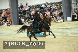 24BUCK_09161 thumbnail