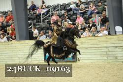 24BUCK_09163 thumbnail