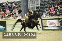 24BUCK_09164 thumbnail