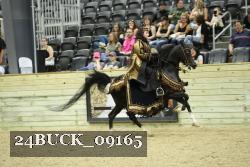 24BUCK_09165 thumbnail
