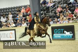 24BUCK_09166 thumbnail