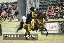 24BUCK_09168 thumbnail