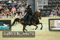 24BUCK_09172 thumbnail