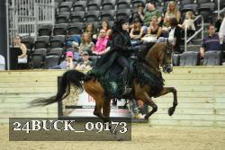 24BUCK_09173 thumbnail