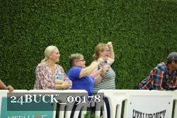 24BUCK_09178 thumbnail