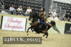 24BUCK_09193 thumbnail
