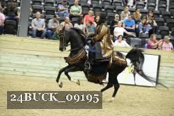 24BUCK_09195 thumbnail