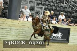 24BUCK_09201 thumbnail