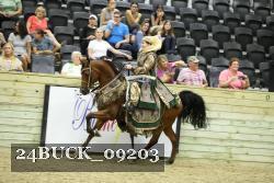 24BUCK_09203 thumbnail