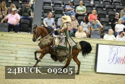 24BUCK_09205 thumbnail