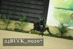 24BUCK_09207 thumbnail