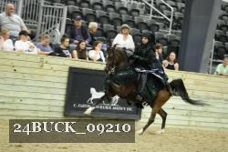 24BUCK_09210 thumbnail