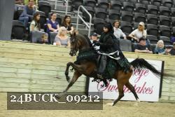 24BUCK_09212 thumbnail