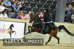 24BUCK_09213 thumbnail