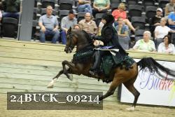 24BUCK_09214 thumbnail