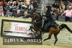 24BUCK_09215 thumbnail