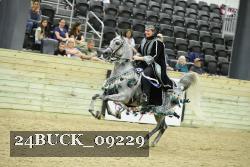 24BUCK_09229 thumbnail