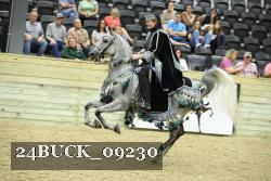 24BUCK_09230 thumbnail
