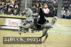 24BUCK_09231 thumbnail