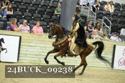 24BUCK_09238 thumbnail