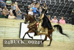 24BUCK_09241 thumbnail