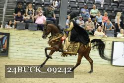 24BUCK_09242 thumbnail