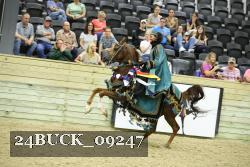 24BUCK_09247 thumbnail