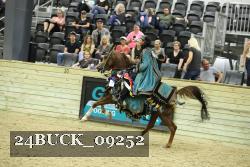 24BUCK_09252 thumbnail