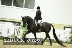 24BUCK_09256 thumbnail