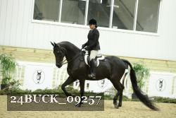 24BUCK_09257 thumbnail
