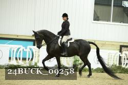 24BUCK_09258 thumbnail