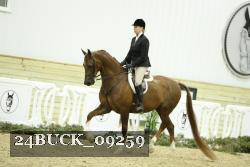 24BUCK_09259 thumbnail