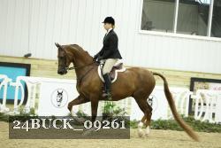 24BUCK_09261 thumbnail