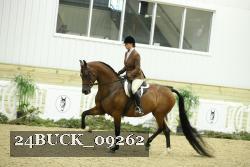 24BUCK_09262 thumbnail