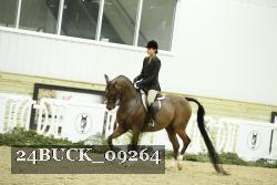 24BUCK_09264 thumbnail