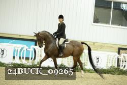 24BUCK_09265 thumbnail