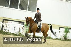 24BUCK_09266 thumbnail