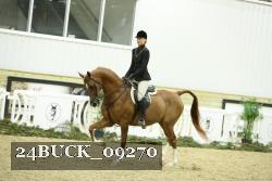 24BUCK_09270 thumbnail