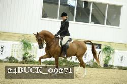 24BUCK_09271 thumbnail
