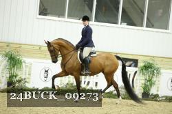 24BUCK_09273 thumbnail