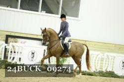 24BUCK_09274 thumbnail