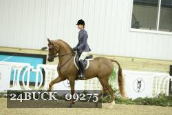 24BUCK_09275 thumbnail