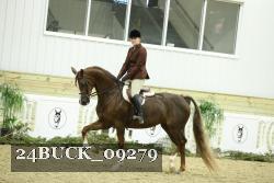 24BUCK_09279 thumbnail