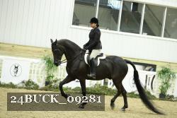 24BUCK_09281 thumbnail
