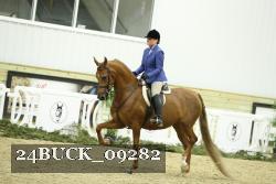 24BUCK_09282 thumbnail
